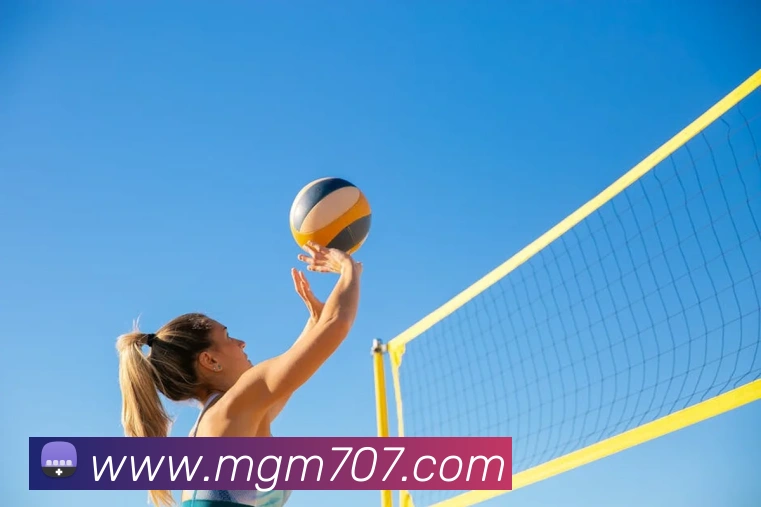 美高梅官网首页平台生态图